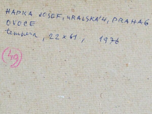 OBRAZ-MALIR-JOSEF-HAPKA-ZATISI-S-OVOCEM
